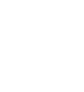 Boutique Property Hosts